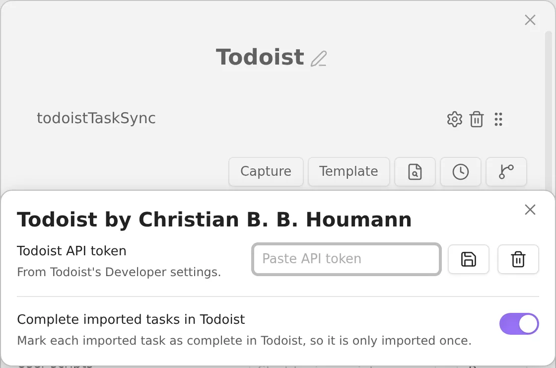 Todoist script settings